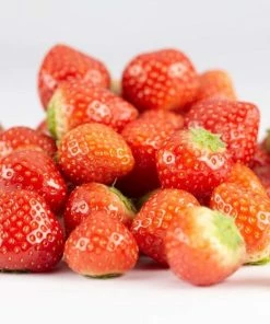 Roots Plants Elsanta Strawberry Plants Fruits