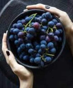 Roots Plants 90cm 'Vanessa' Seedless Outdoor Grape Vine | 2L Pot 4 Roots Plants 90cm 'Vanessa' Seedless Outdoor Grape Vine | 2L Pot