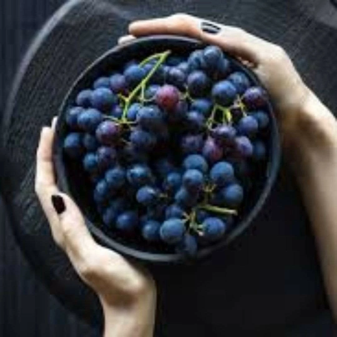 Roots Plants 90cm 'Vanessa' Seedless Outdoor Grape Vine | 2L Pot Roots Plants 90cm 'Vanessa' Seedless Outdoor Grape Vine | 2L Pot