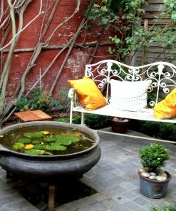 Roots Plants All Pond Plants Pond In A Pot Planting Kit | Oxygenating & Wildlife | Flowers & Structure